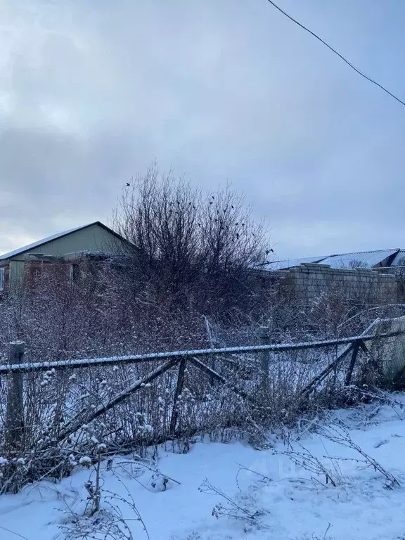 Участок в Ульяновская область, Майнское городское поселение, с. ... - Фото 1