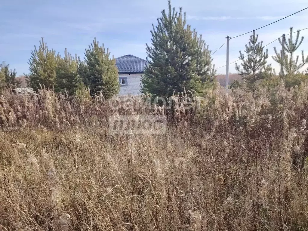 Участок в Тюменская область, Тюменский муниципальный округ, д. Елань, ... - Фото 2