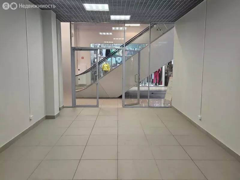 Торговая площадь (40.6 м) - Фото 2