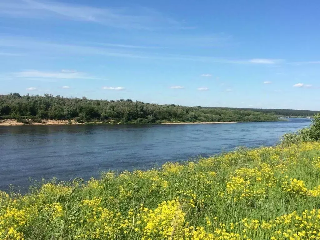 Участок в Тульская область, Ясногорский район, Иваньковское с/пос, д. ... - Фото 2
