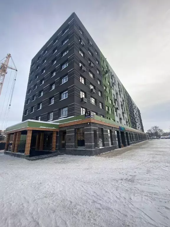 Торговая площадь в Новосибирская область, Новосибирский район, ... - Фото 1