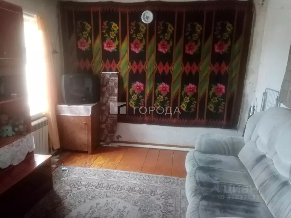 Дом в Алтайский край, Барнаул Лыжный проезд, 13 (43 м) - Фото 1