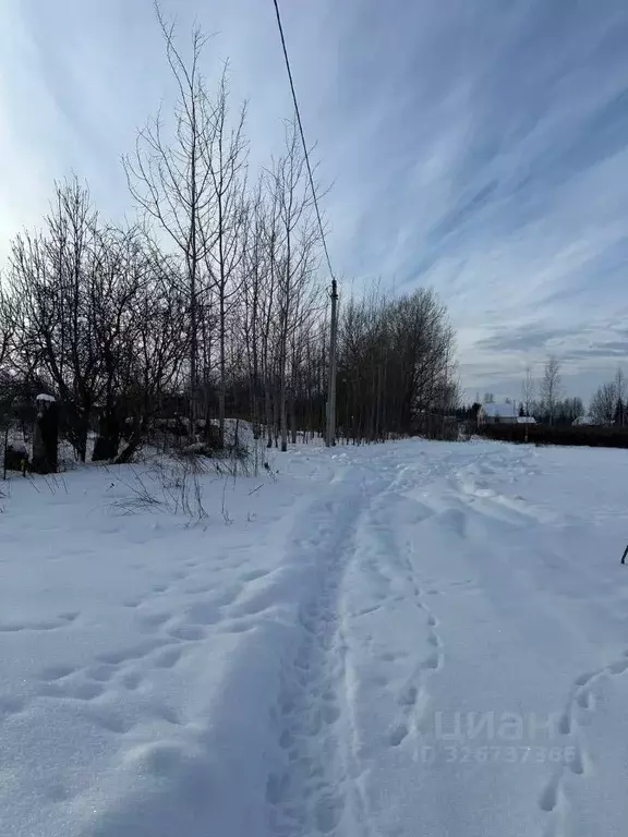 Участок в Псковская область, Печорский муниципальный округ, д. ... - Фото 2
