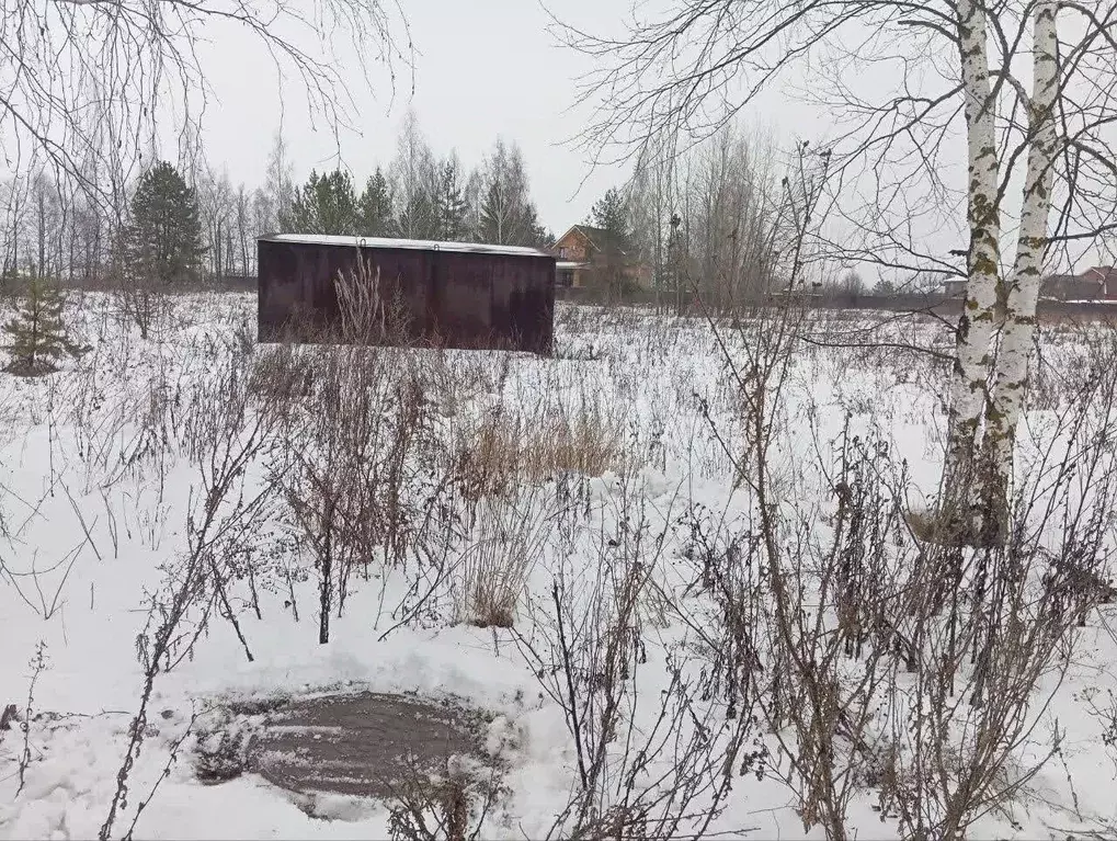 Участок в Липецкая область, с. Доброе ул. Родниковая, 6 (30.0 сот.) - Фото 1