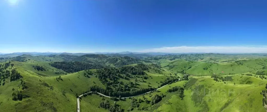 Участок в Алтайский край, Солонешенский район, с. Медведевка  (40000.0 ... - Фото 2
