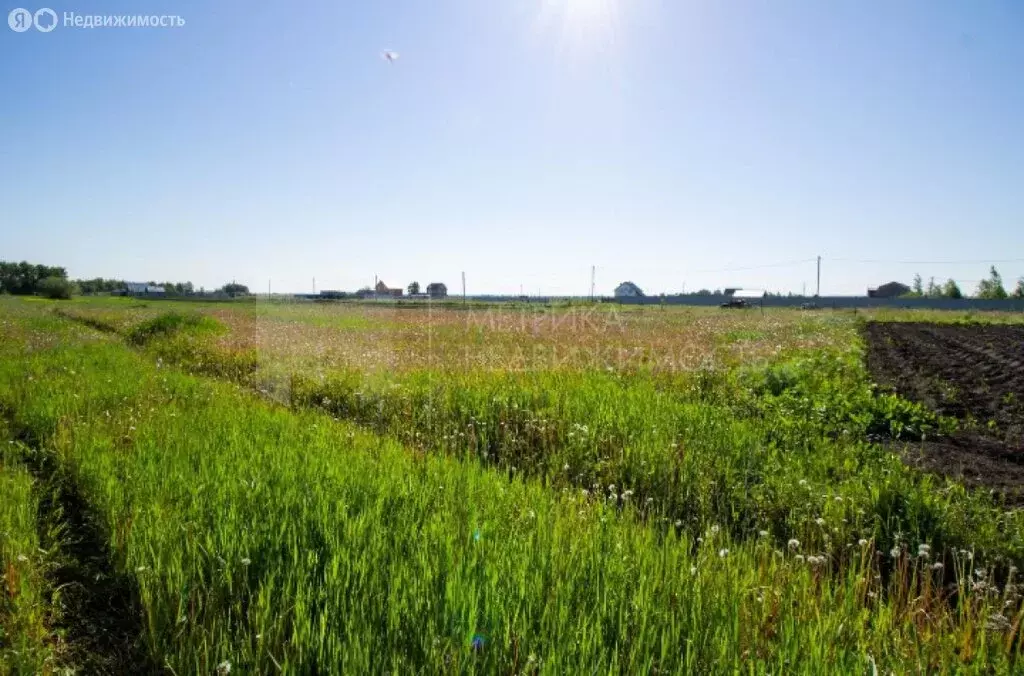 Участок в Аннинское городское поселение, деревня Пески, улица ... - Фото 1
