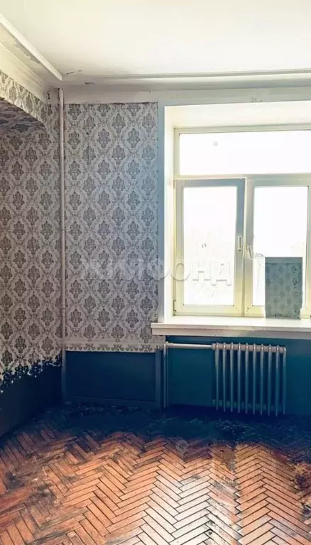 Комната Новосибирская область, Новосибирск ул. Котовского, 21 (20.0 м) - Фото 1