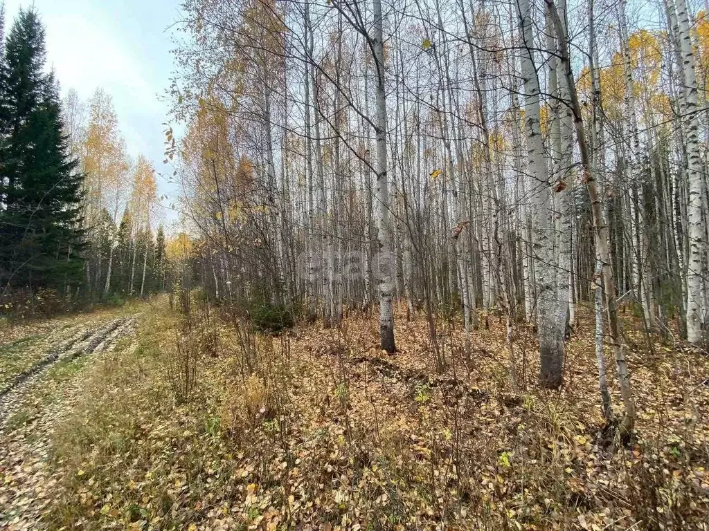 Участок в Ханты-Мансийский АО, Ханты-Мансийск Мир СОНТ,  (8.5 сот.) - Фото 1