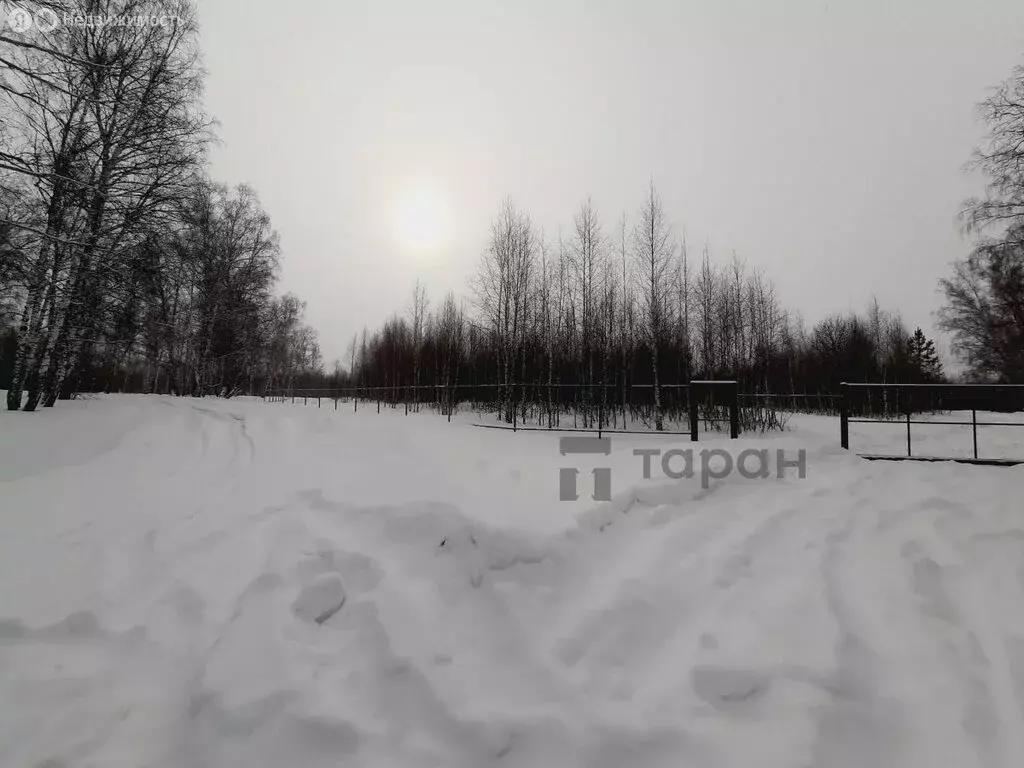 Участок в Челябинская область, Сосновский муниципальный округ, деревня ... - Фото 2