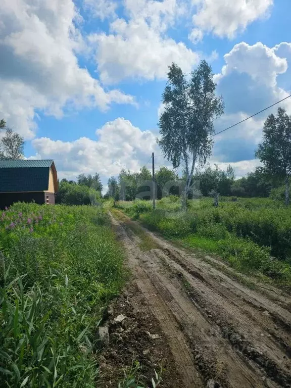 Участок в Тюменская область, Нижнетавдинский район, Сочинское ДНТ  ... - Фото 0