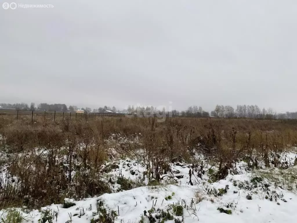 Участок в Дмитровский городской округ, деревня Кончинино (10 м) - Фото 1