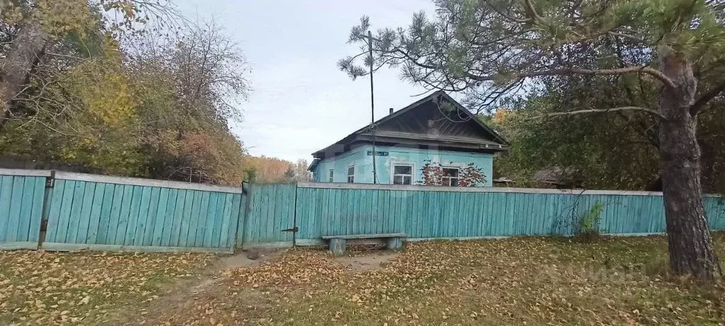 Участок в Амурская область, Серышевский муниципальный округ, с. ... - Фото 2