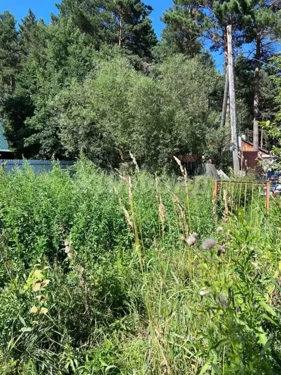 Участок в Томская область, Томский район, Лесная дача СНТ  (14.0 сот.) - Фото 1