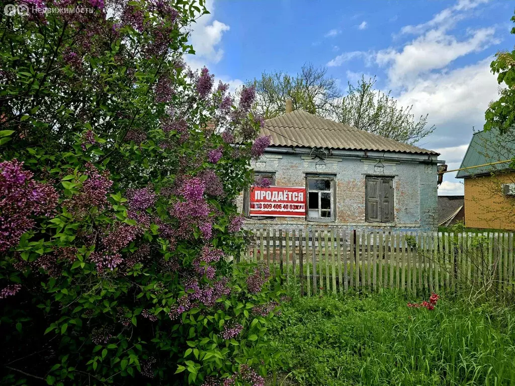 Участок в Неклиновский район, Лакедемоновское сельское поселение, ... - Фото 0