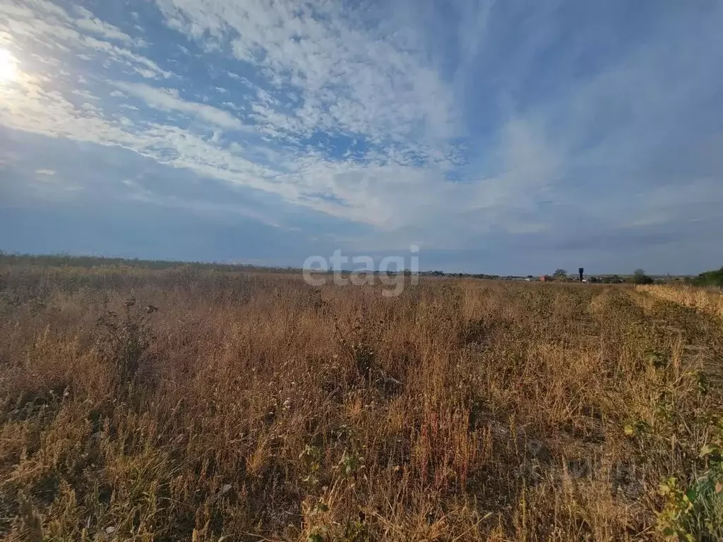 Участок в Белгородская область, Белгород ул. Каштановая (410.0 сот.) - Фото 1
