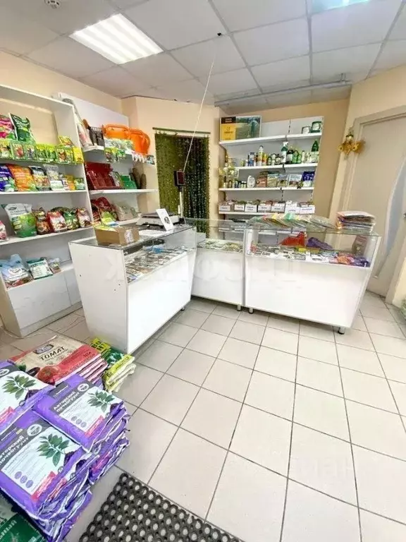 Торговая площадь в Томская область, Томск ул. Нахимова, 2 (32 м) - Фото 0