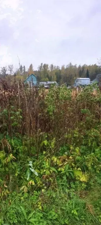 Участок в Владимирская область, Камешковский муниципальный округ, ... - Фото 2