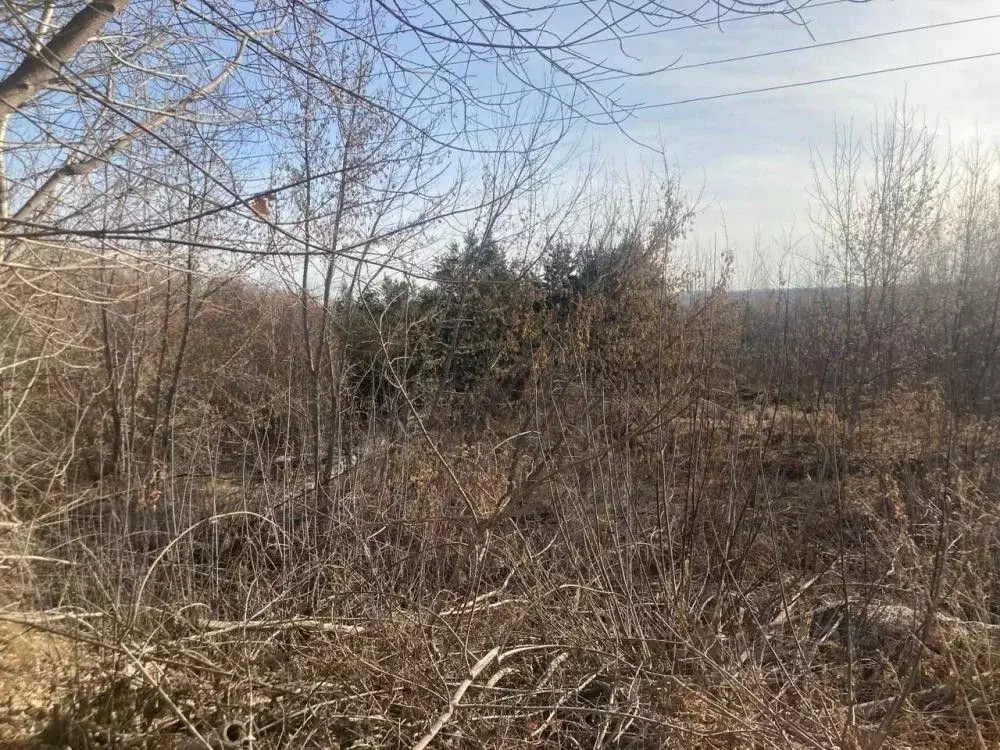 Участок в Иркутская область, Бодайбинский район, Кропоткинское ... - Фото 2