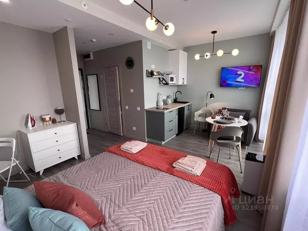 Студия Санкт-Петербург Витебский просп., 99к1 (30.0 м) - Фото 2