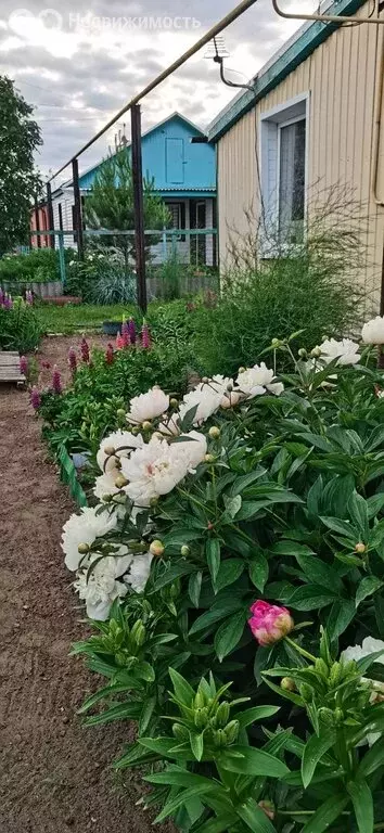Дом в посёлок Речной, Берёзовая улица, 9 (46.5 м) - Фото 0