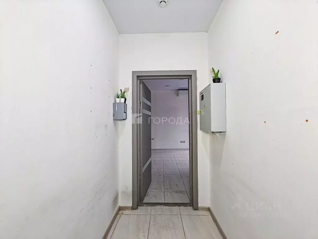 Помещение свободного назначения в Новосибирская область, Новосибирск ... - Фото 2