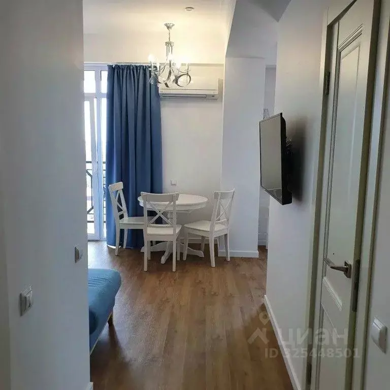 1-к кв. Краснодарский край, Сочи ул. Кирова, 35 (55.0 м) - Фото 2