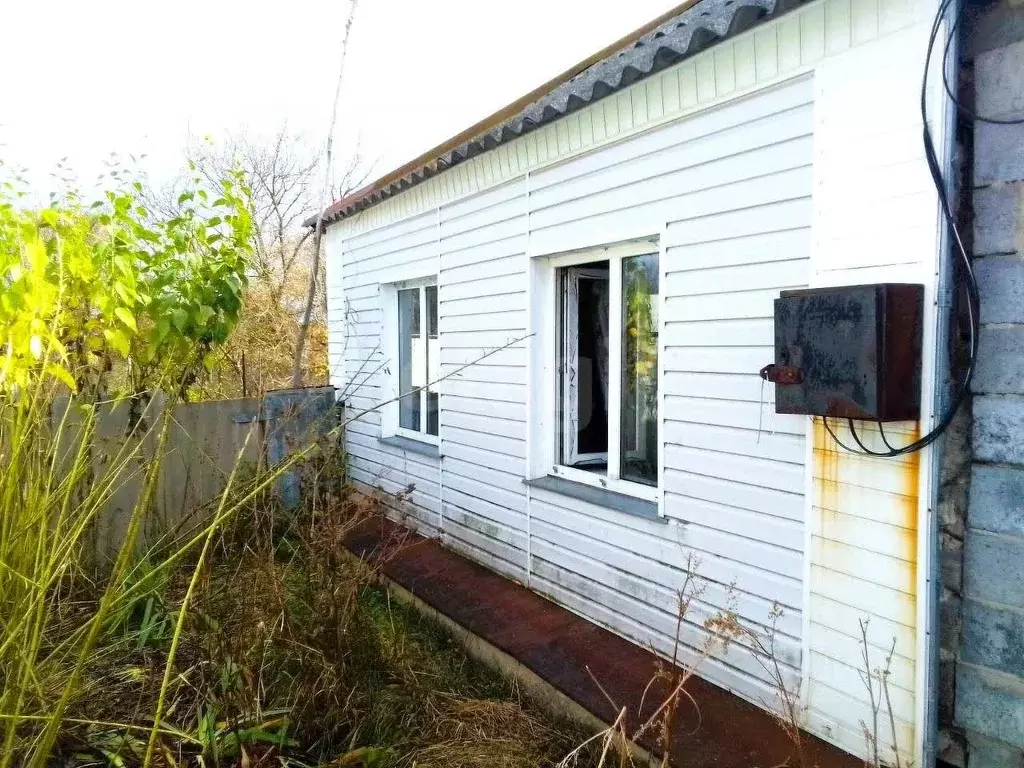 Дом в Белгородская область, Новооскольский муниципальный округ, Костин ... - Фото 0