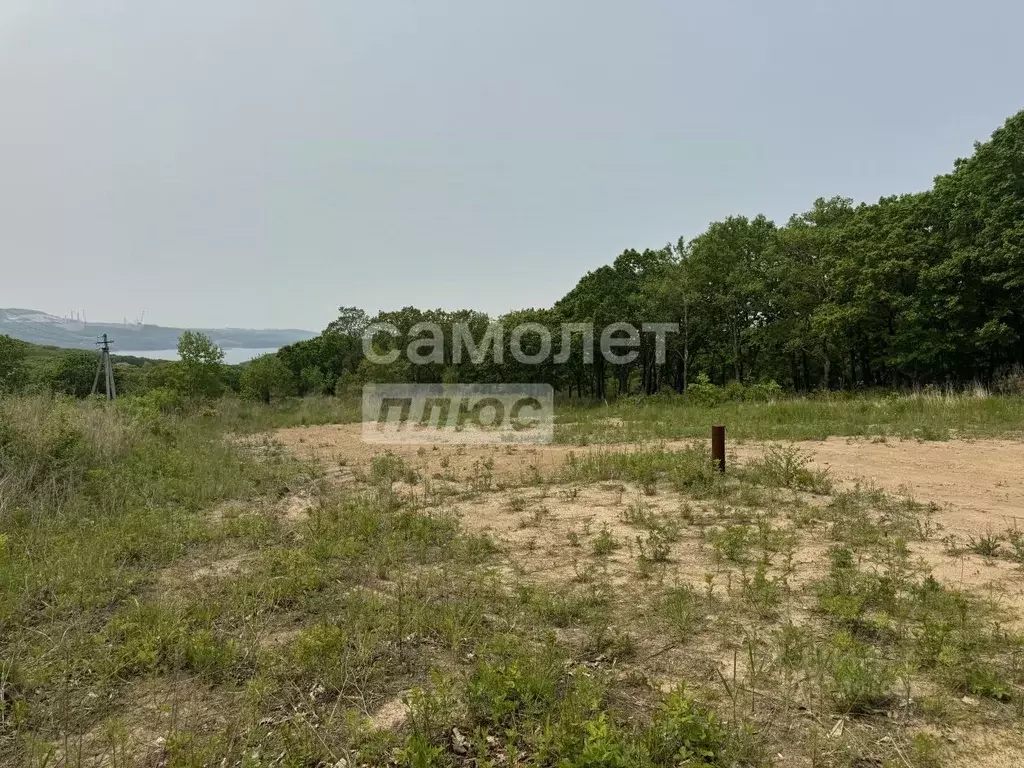 Участок в Приморский край, Находка пос. Врангель, ул. Осенняя, 13 ... - Фото 1