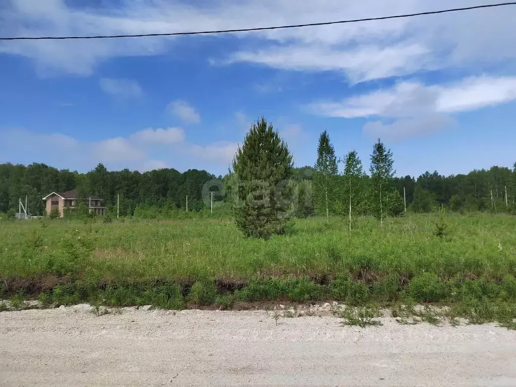 Участок в Тюменская область, Тюменский район, с. Кулига, Альпийская ... - Фото 1