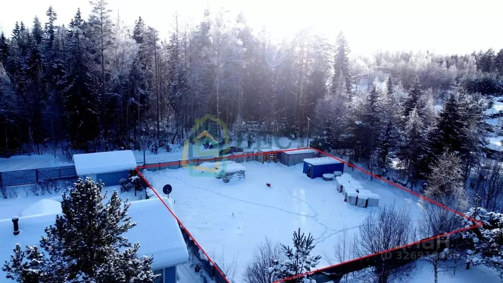 Участок в Ленинградская область, Всеволожский район, Куйвозовское ... - Фото 2