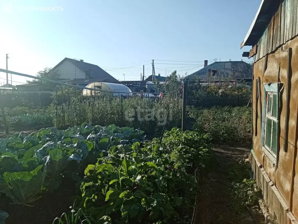 черногорск саянская улица. футбольный команда эдельвейс георгиевск. черногорск ул дзержинского 31. ленина 51 черногорск. колбаса саянский мясокомбинат.