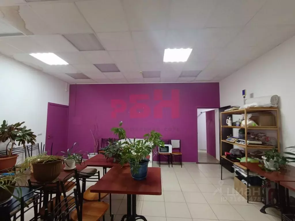 Торговая площадь в Тюменская область, Тюмень Рижская ул., 78/1 (70 м) - Фото 1