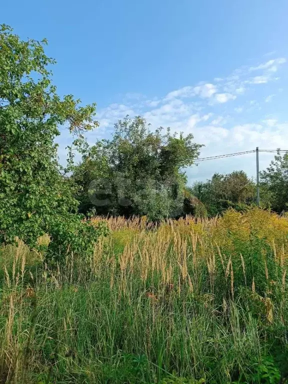 Участок в Тульская область, Тула городской округ, д. Струково  (13.0 ... - Фото 1