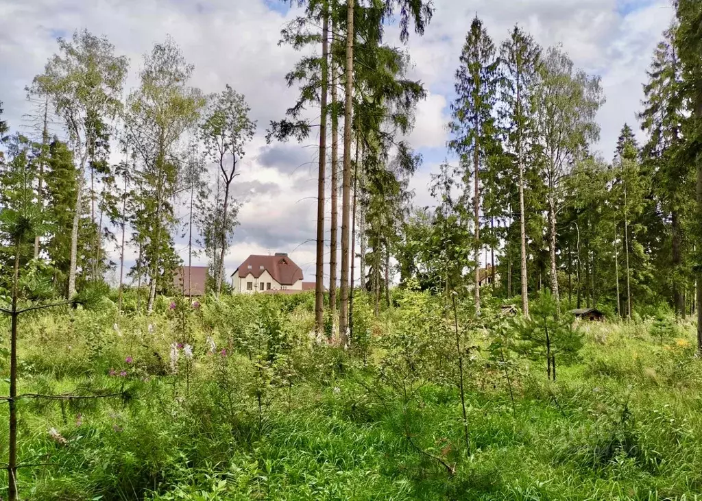 Участок в Московская область, Пушкино Чистые Пруды мкр, проезд ... - Фото 2