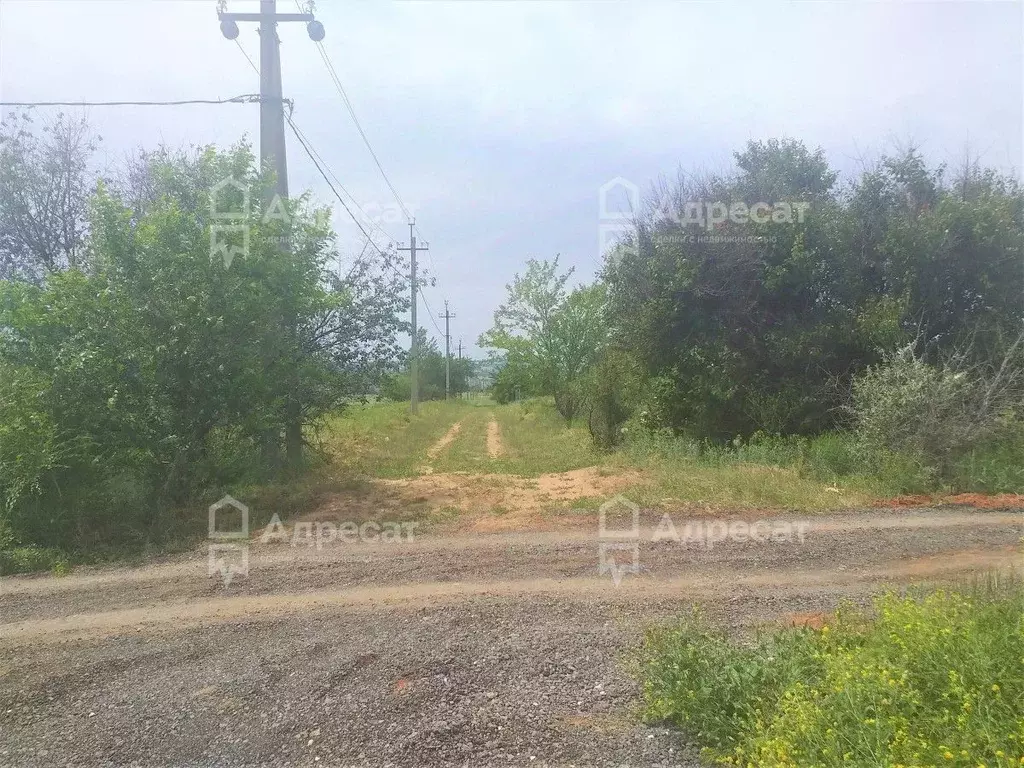 Участок в Волгоградская область, Городищенский район, Ерзовское ... - Фото 1