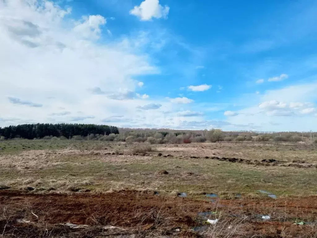 участок в нижегородская область, богородский муниципальный округ, д. . - Фото 0