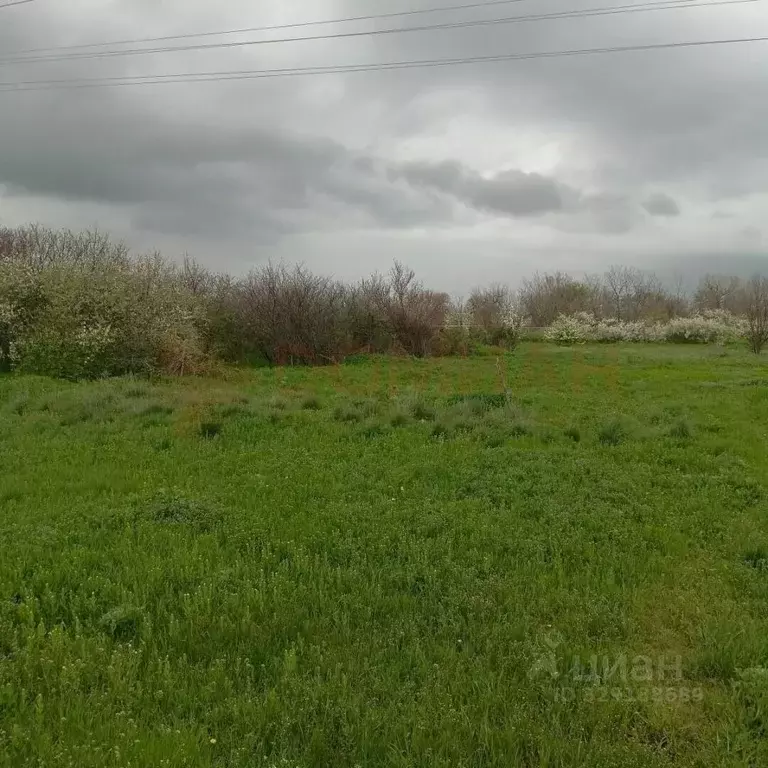 Участок в Ростовская область, Усть-Донецкий район, Мелиховская ст-ца ... - Фото 2