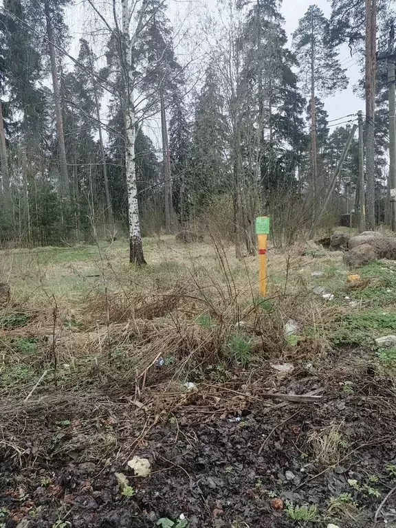 Участок 1,36 га (СНТ, ДНП) - Фото 0