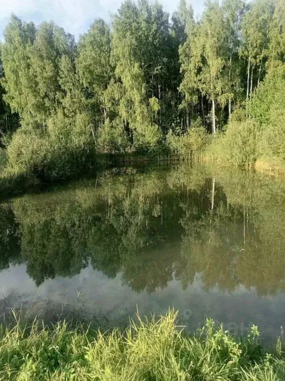Участок в Владимирская область, Судогодский район, Головинское ... - Фото 0