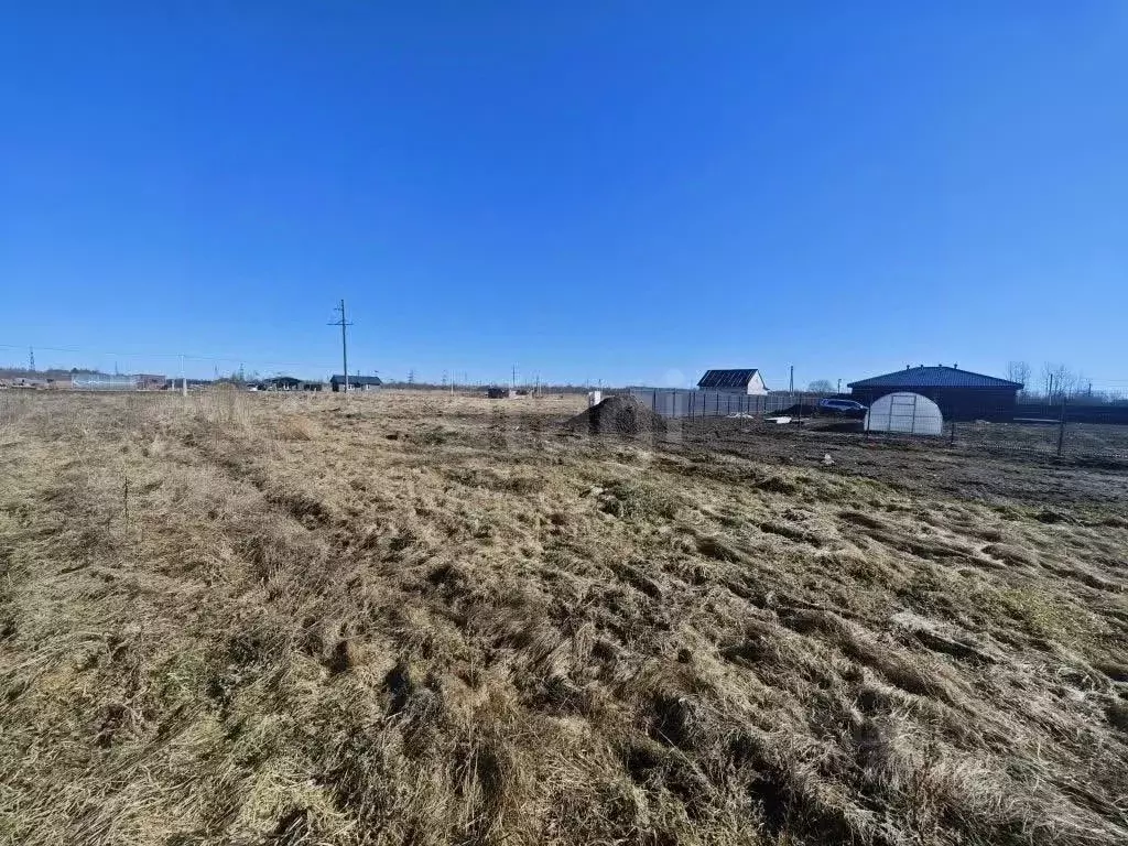 Участок в Псковская область, Псковский район, Тямшанская волость, д. ... - Фото 2
