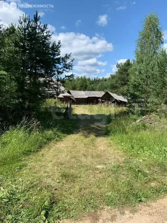 Дом в Архангельская область, Вилегодский муниципальный округ, ... - Фото 2