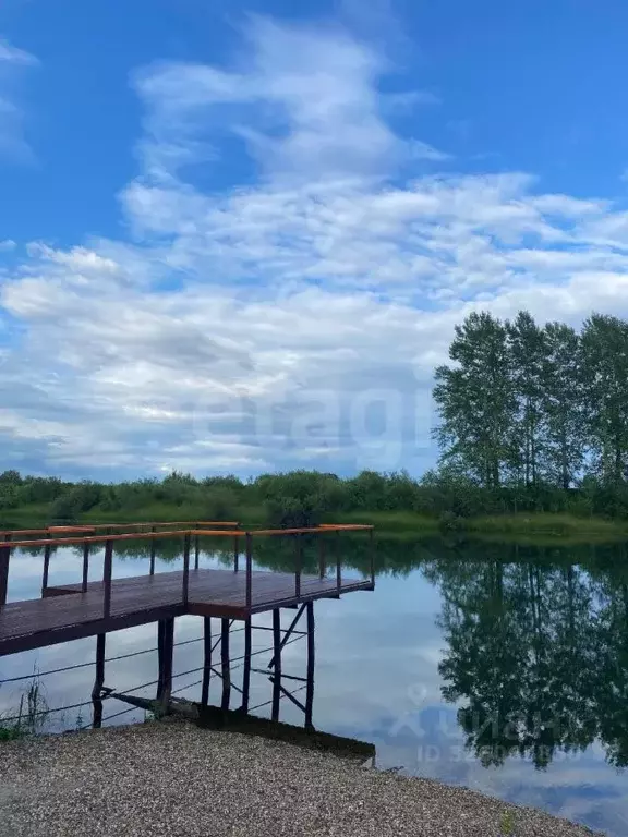 Участок в Новосибирская область, Колыванский район, Сибирская Волость ... - Фото 2