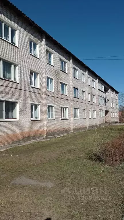 3-к кв. Новгородская область, Парфино пгт ул. Космонавтов, 4 (65.0 м) - Фото 1