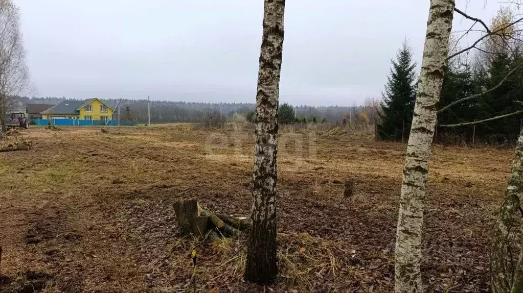 Участок в Московская область, Сергиево-Посадский городской округ, д. ... - Фото 2