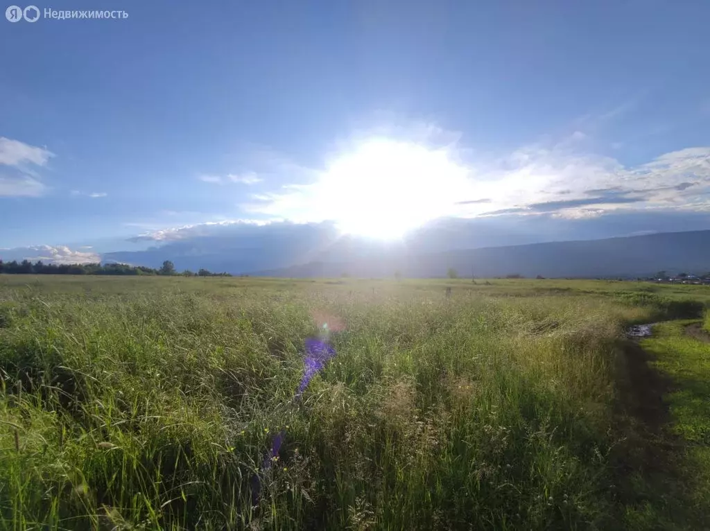 Участок в село Тюлюк, улица Карла Маркса (25 м) - Фото 0