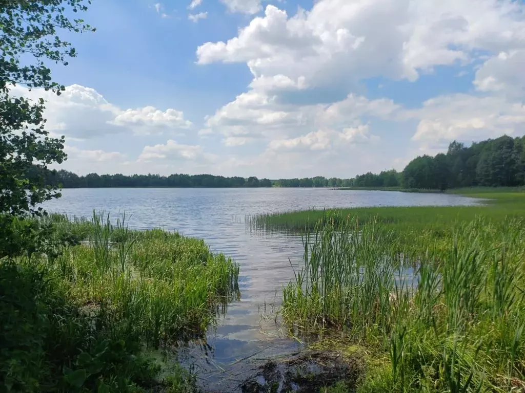 Дом в Московская область, Егорьевск городской округ, д. Новопоселки ... - Фото 0