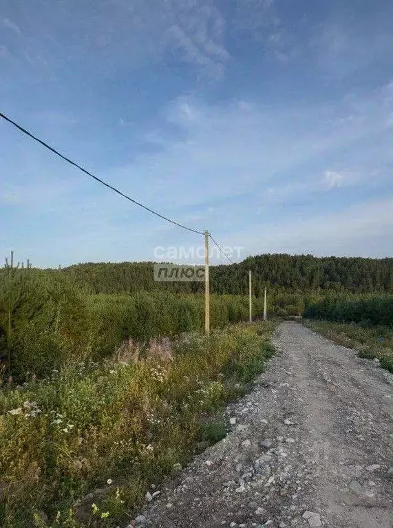 Участок в Иркутская область, Иркутский муниципальный округ, д. ... - Фото 1