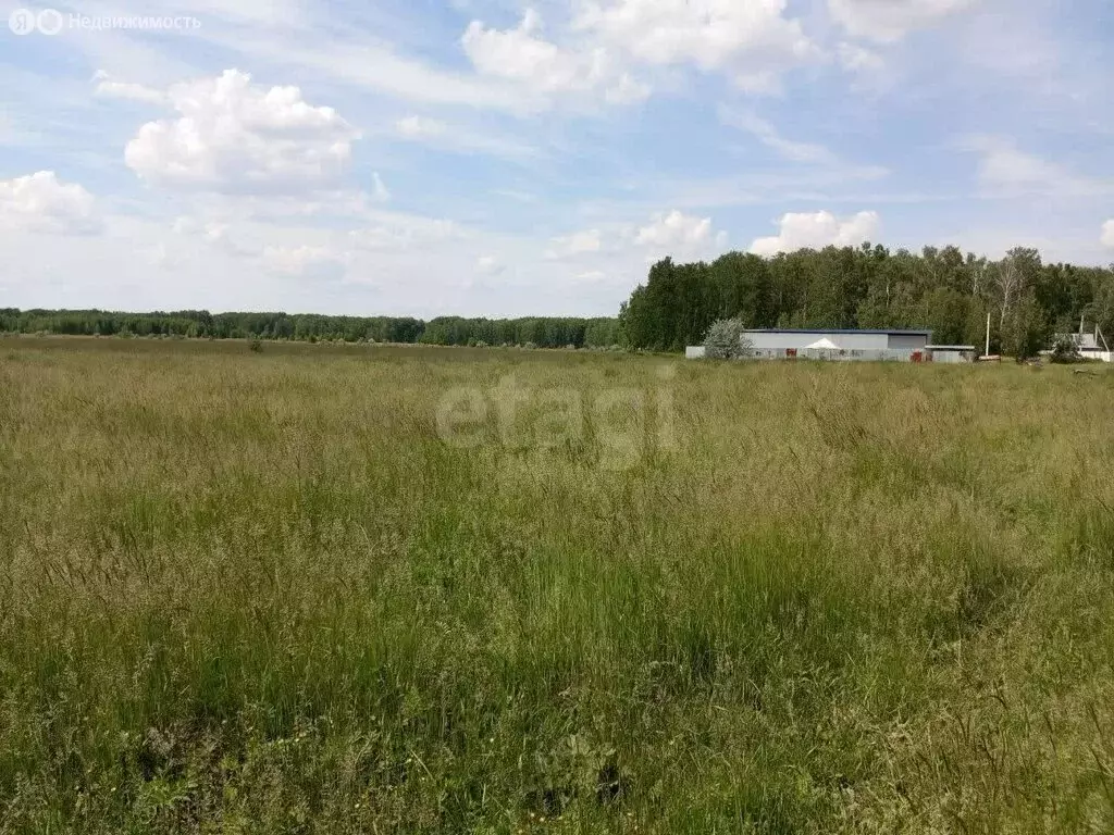 Участок в Челябинская область, посёлок Увельский (10 м) - Фото 2