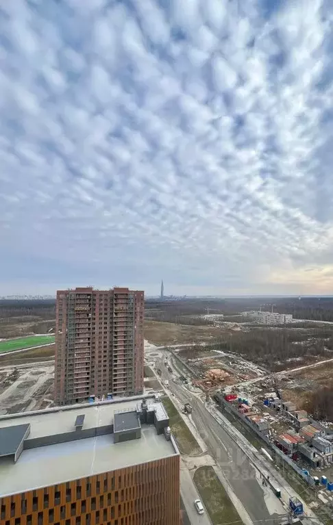 Студия Санкт-Петербург ул. Ивинская, 5к1 (30.0 м) - Фото 2