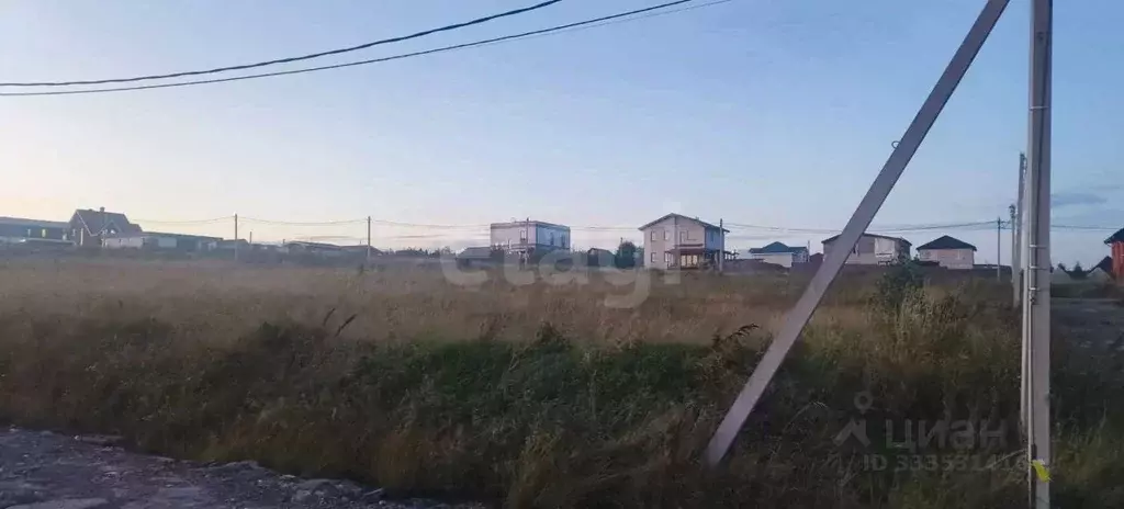 Участок в Ленинградская область, Ломоносовский район, д. Низино ул. ... - Фото 1